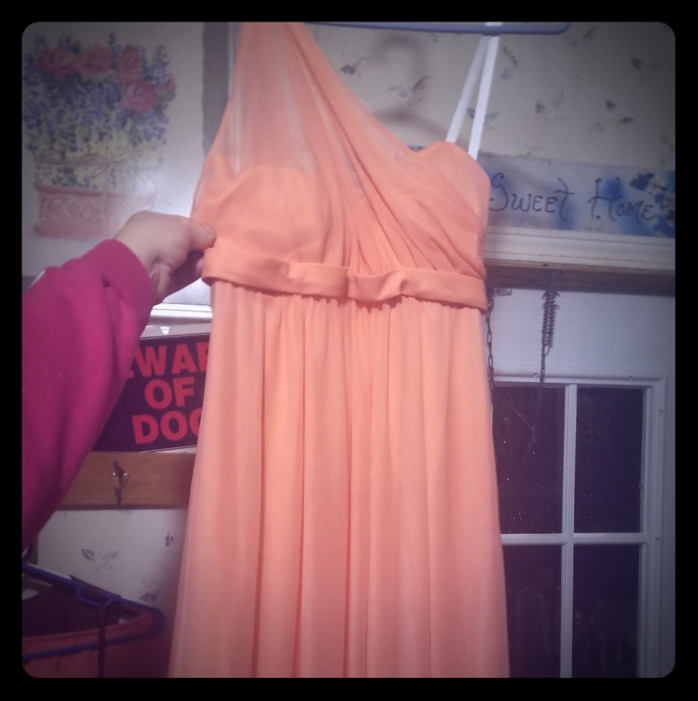 David's bridal peach dress